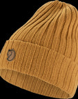 acorn