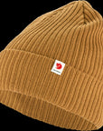 acorn