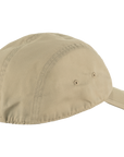 fossil