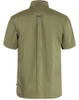 green-laurel green collared shirt
