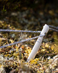 White plastic stake with blue rope embedded in a natural, mossy ground.