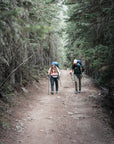 Two hikers with backpacks walking on a trail through a forest.