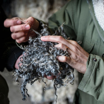 Wool Q&A
