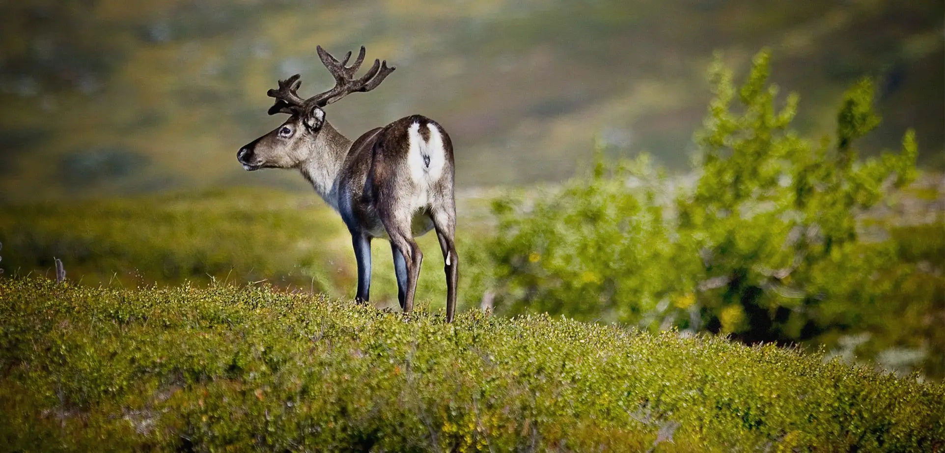 Defining Sustainability