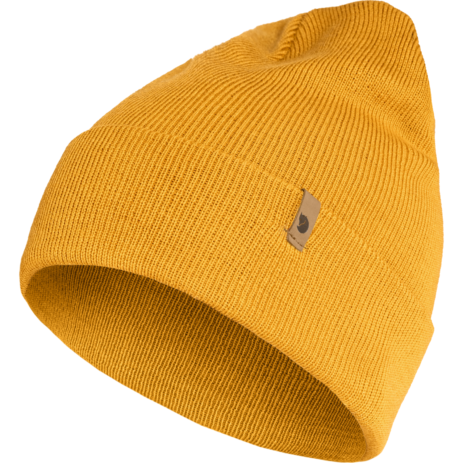 acorn