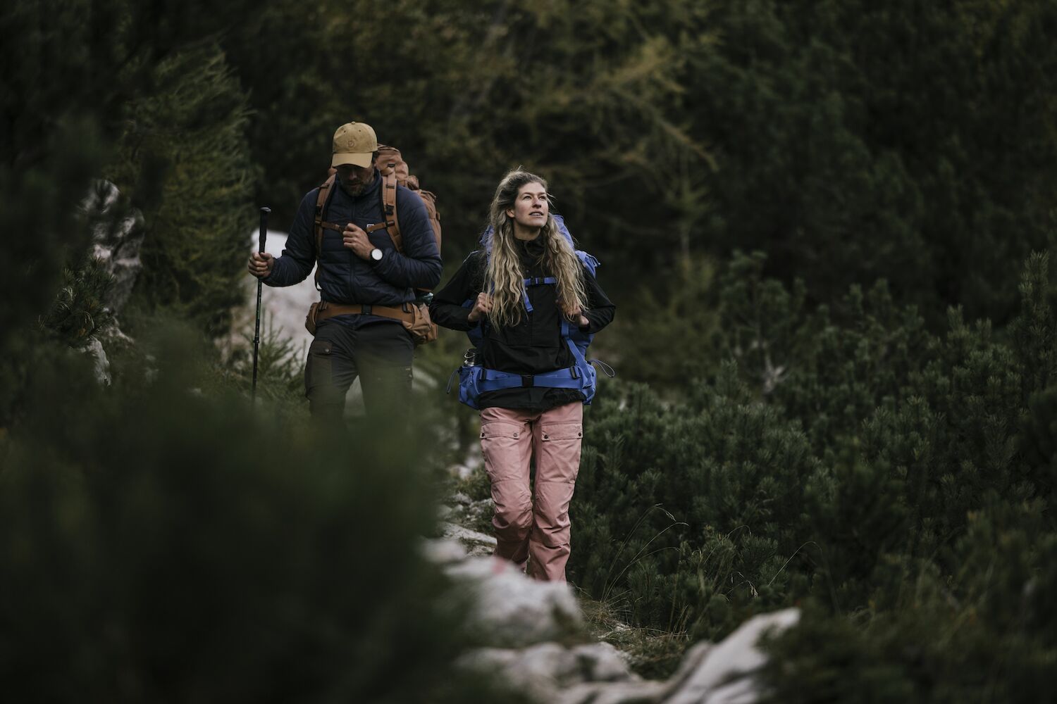 people trekking in forest