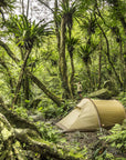 camping tent set up in a forest
