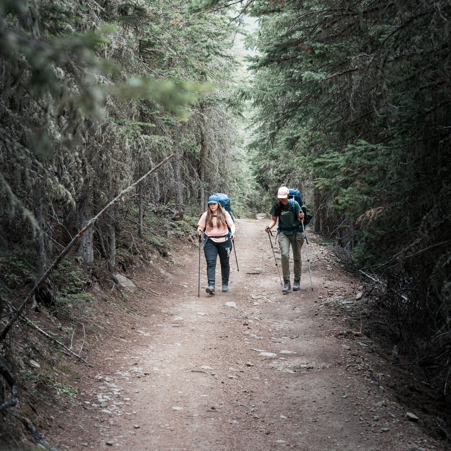 Two hikers with backpacks walking on a trail through a forest.